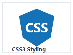 CSS3 technology icon